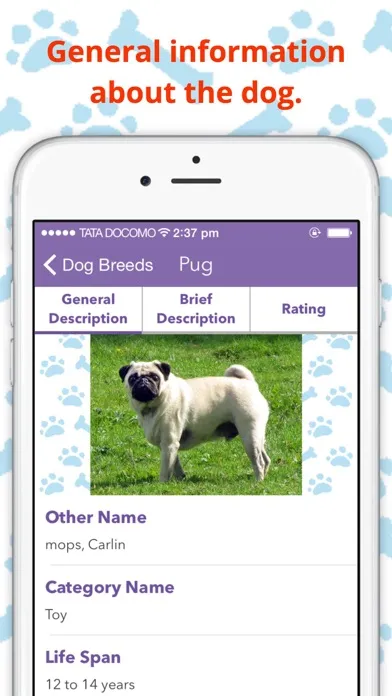 Capturas de pantalla de DogWiki