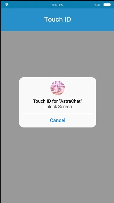 AstraChat - Direct XMPP & VOIP应用截图
