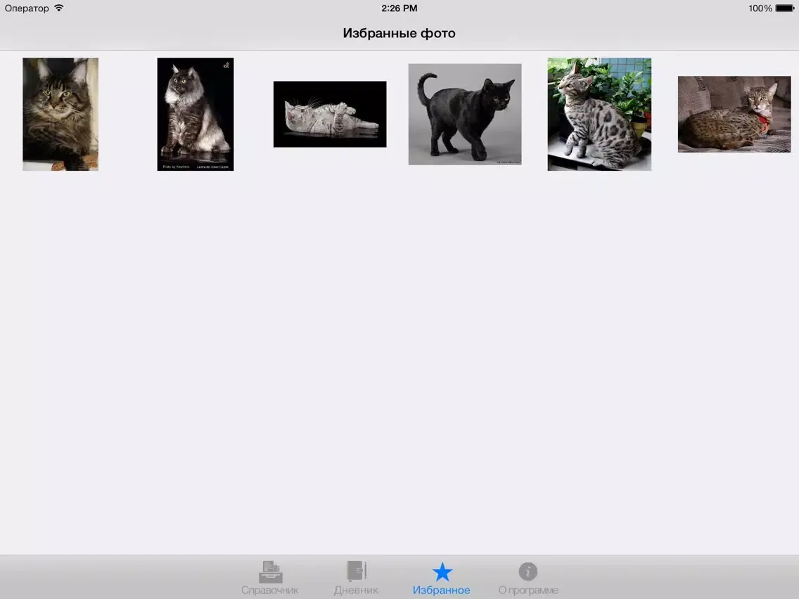 Справочник Кошки Lite iPad 應用截圖