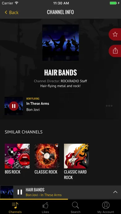 Tangkapan skrin Rock Radio - Curated Music