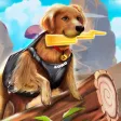 Zoro Pet Dog Race Zoro Pet Dog Race
