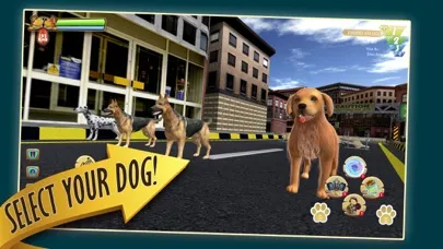 Zoro Pet Dog Race Screenshots