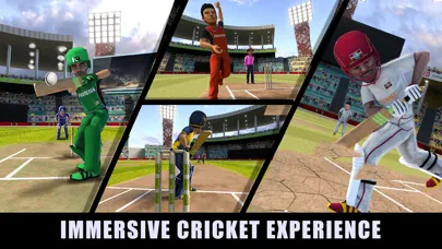 Tangkapan layar RVG Cricket Game: Cricket Lite