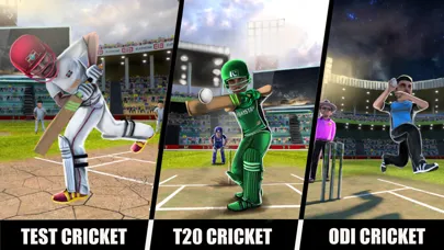 Tangkapan layar RVG Cricket Game: Cricket Lite