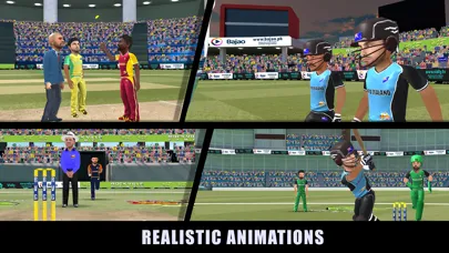 Tangkapan layar RVG Cricket Game: Cricket Lite