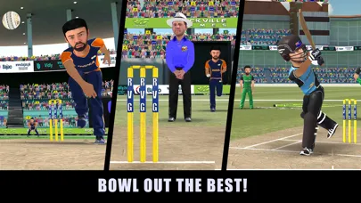 Tangkapan layar RVG Cricket Game: Cricket Lite