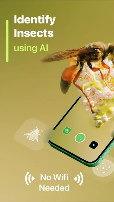 Insect Identifier Screenshots