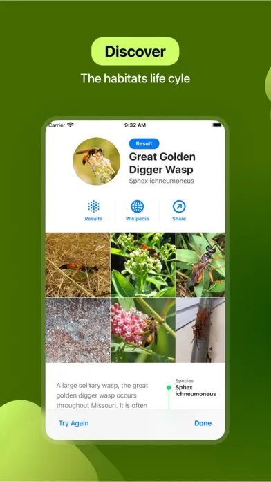 Insect Identifier Screenshots