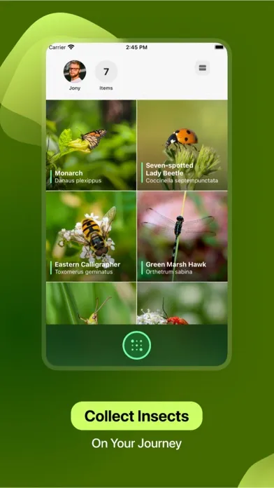 Insect Identifier Screenshots