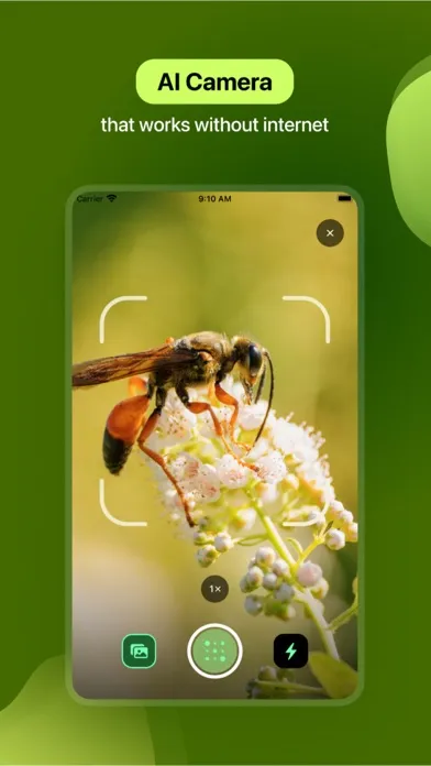 Insect Identifier Screenshots