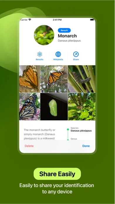 Insect Identifier Screenshots