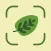 Leaf Identification: Plant ID