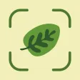 Leaf Identification: Plant ID Leaf Identification: Plant ID