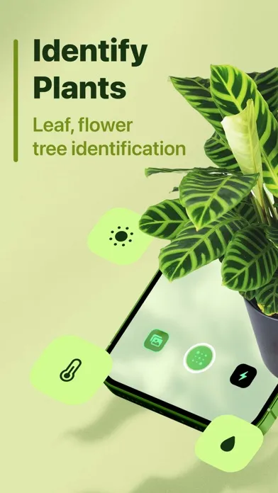 Leaf Identification: Plant ID Screenshots