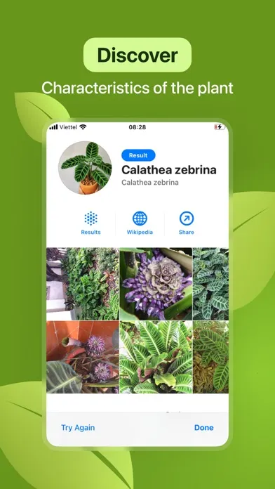 Leaf Identification: Plant ID Screenshots