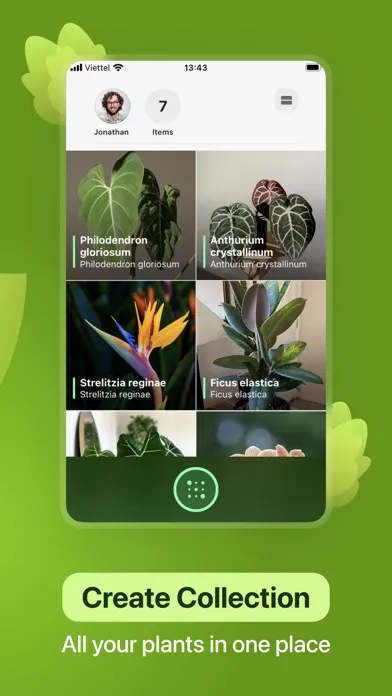 Leaf Identification: Plant ID Screenshots