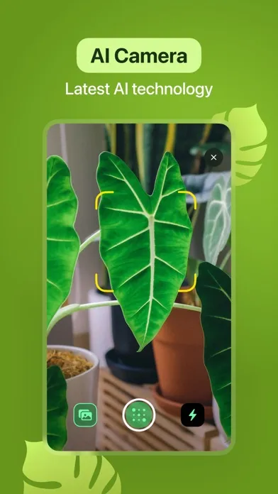 Leaf Identification: Plant ID Screenshots