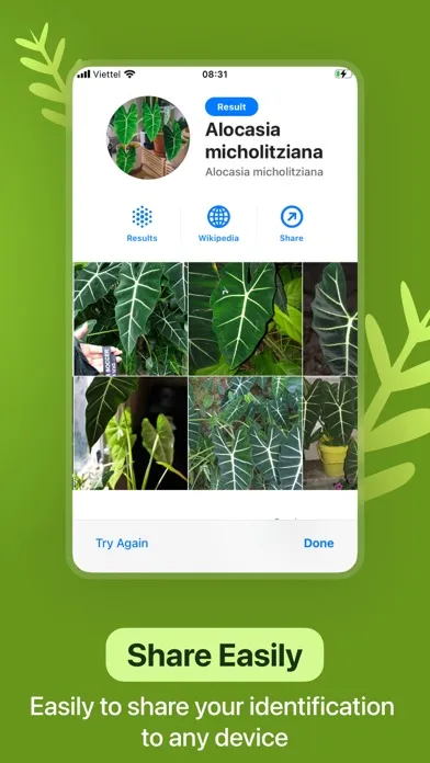 Leaf Identification: Plant ID Screenshots
