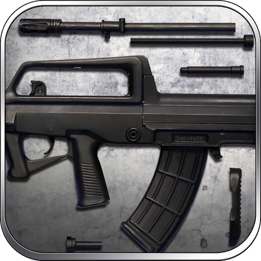 QBZ-95: Automatic Rifle, Simulator, Trivia Shooting Game - Lord of War