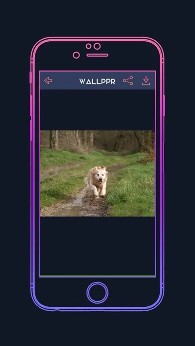 WALLPPR - HD & 4K Wallpapers سکرین شاٹس
