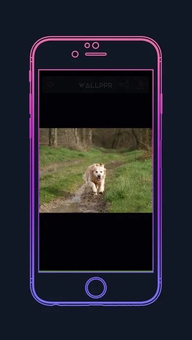 WALLPPR - HD & 4K Wallpapers سکرین شاٹس