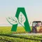 Agro Hernando