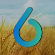 Bioendesa Bioendesa
