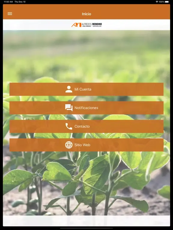 Alfredo S. Mondino iPad Ekran Görüntüleri