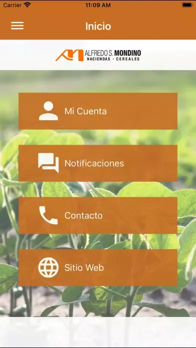 Alfredo S. Mondino Ekran Görüntüleri