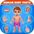 Human Body Parts