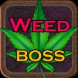 Weed Boss - Ganja Tycoon Idle