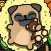 Pug Dog Collector & Puppy Life