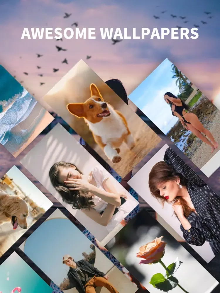 تصاویر Wall Picture Lite iPad 