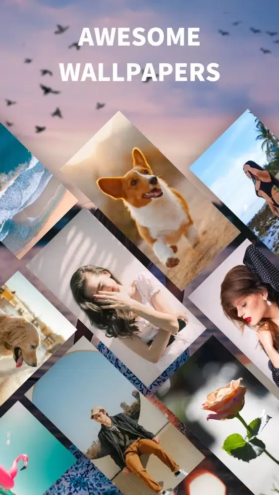 تصاویر Wall Picture Lite