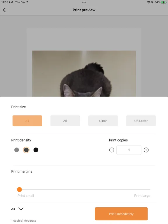 Tangkapan layar SoPrint iPad 