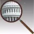 Government Looking Glass