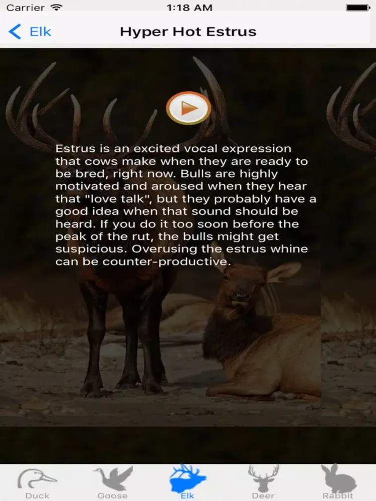 Hunting Calls Fun iPad  স্ক্রিনশট