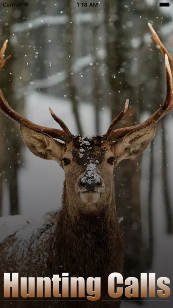 Hunting Calls Fun স্ক্রিনশট