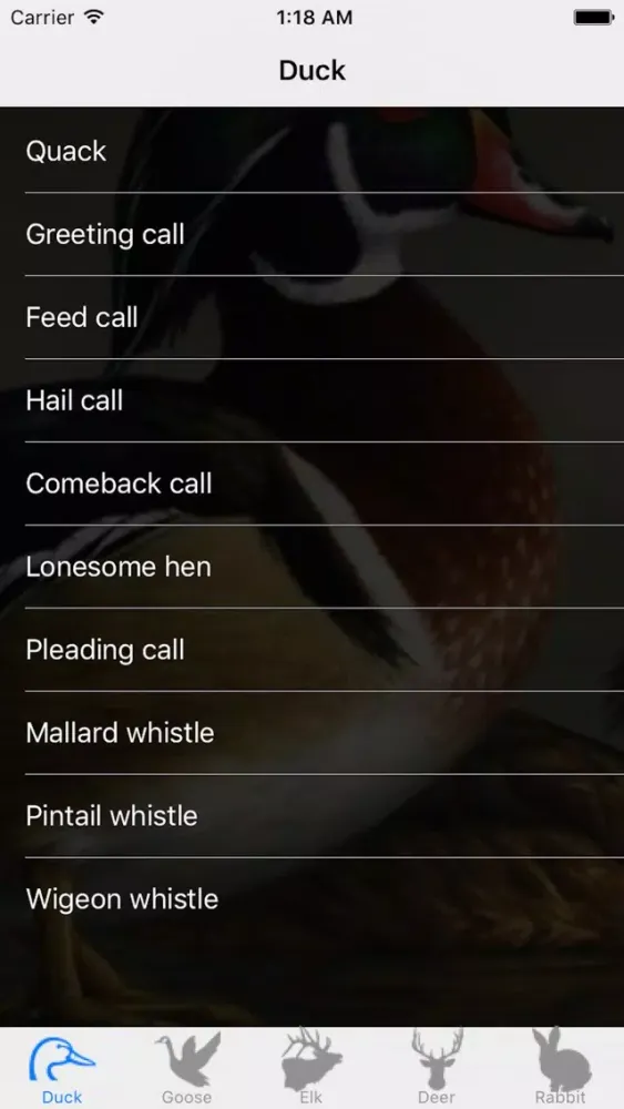 Hunting Calls Fun স্ক্রিনশট