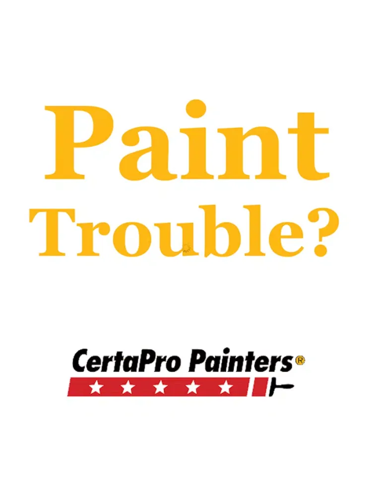 Screenshot di Paint Trouble iPad 