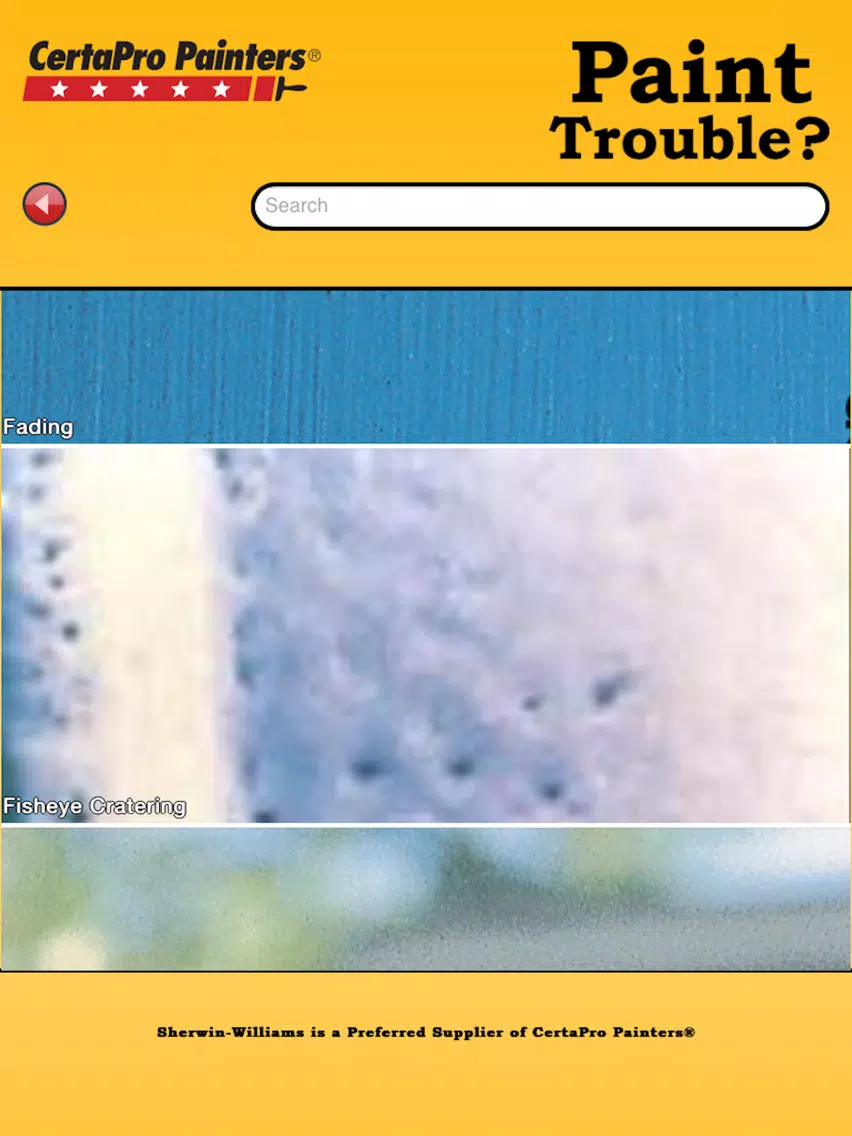 Paint Trouble iPad  Screenshots