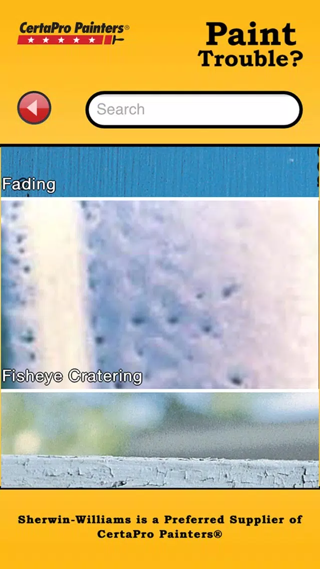 Paint Trouble Screenshots