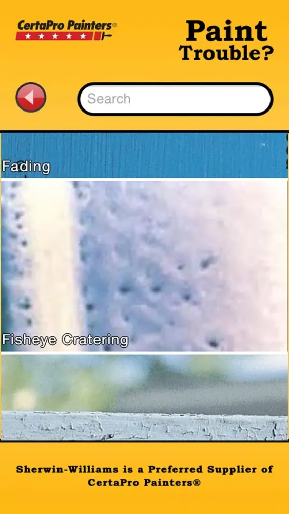 Screenshot di Paint Trouble