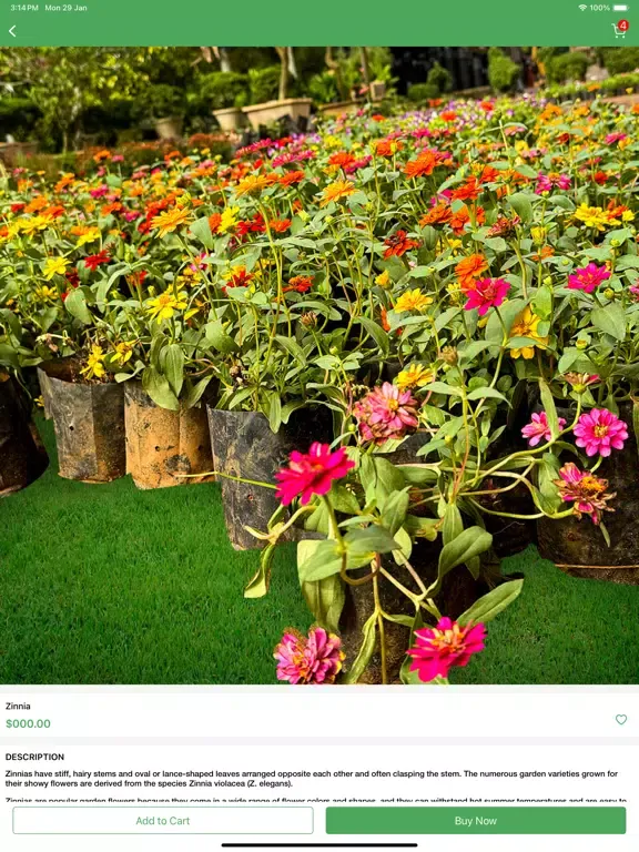 ภาพหน้าจอของ RootsNGreens iPad 