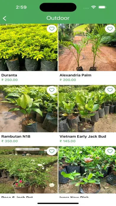 ภาพหน้าจอของ RootsNGreens