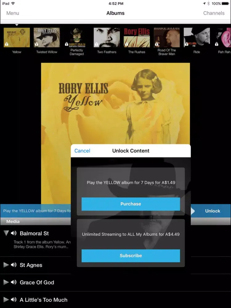 Rory Ellis iPad 應用截圖