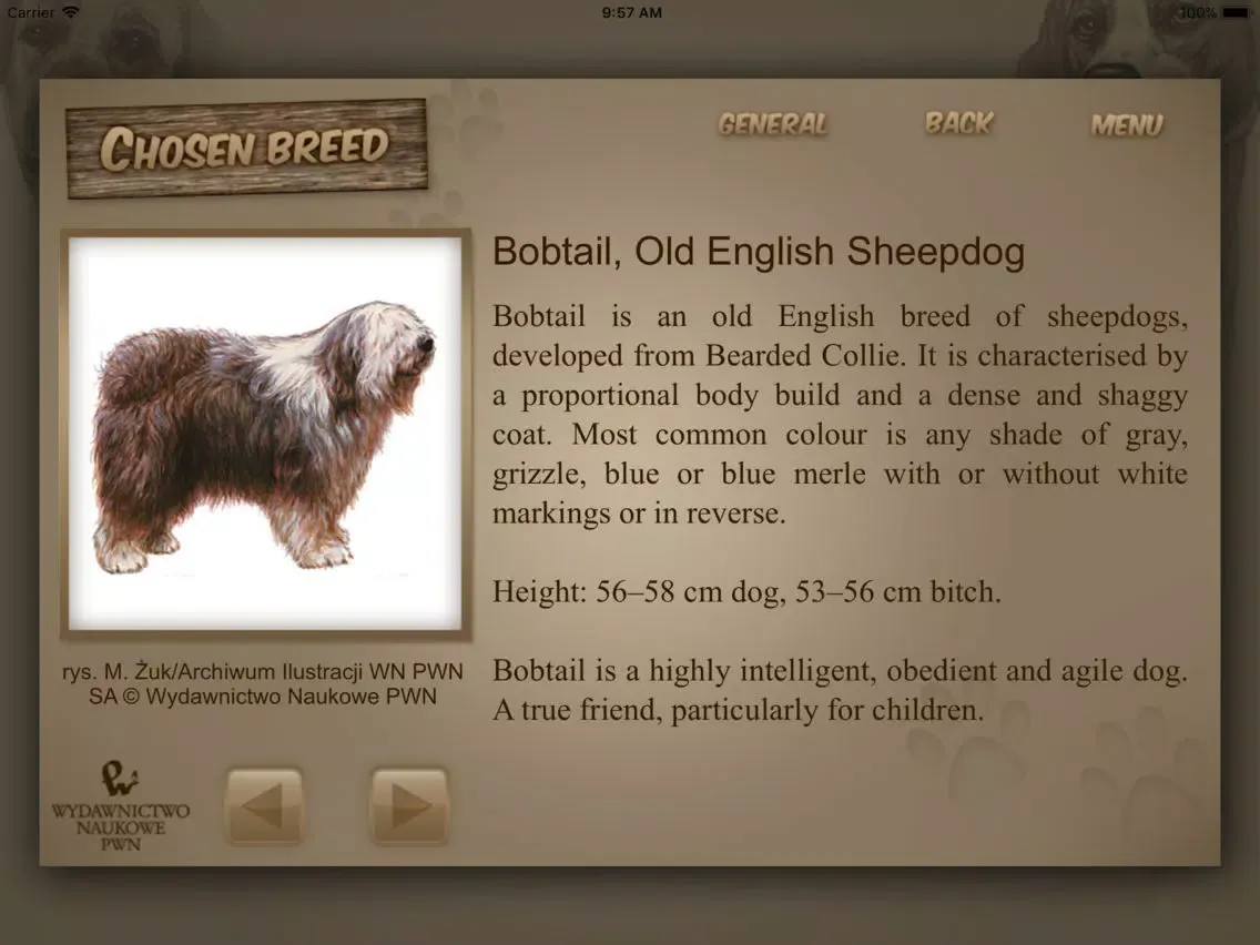 Dog Breeds - Dogs Guide iPad  Screenshots