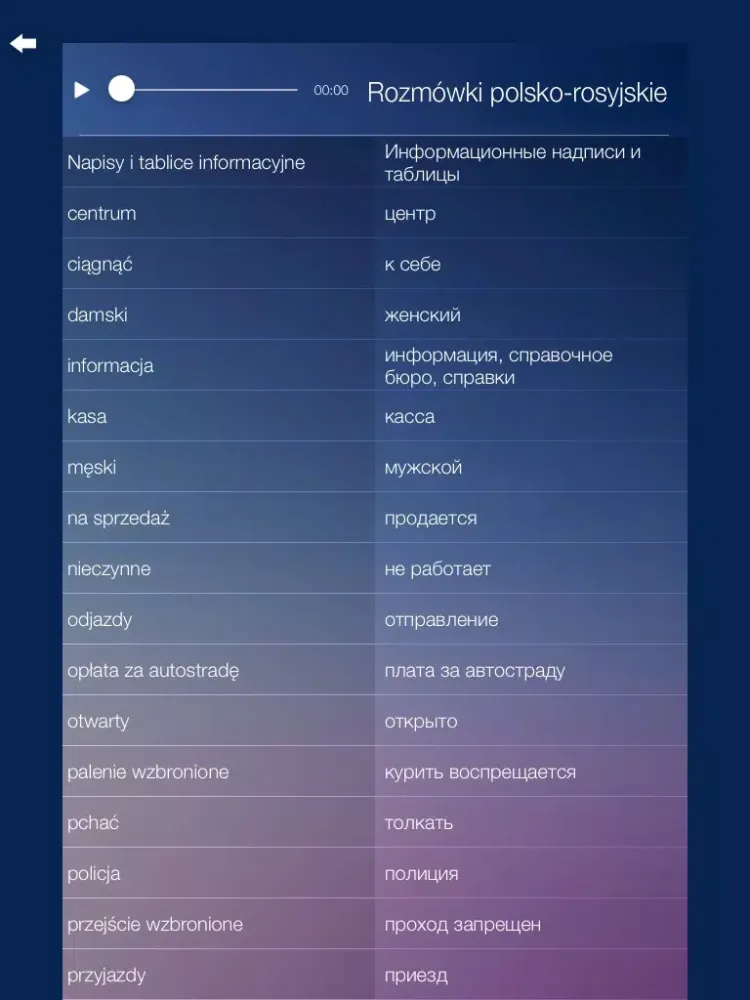 Rozmówki polsko-rosyjskie - nauka języka rosyjskiego iPad  Screenshots