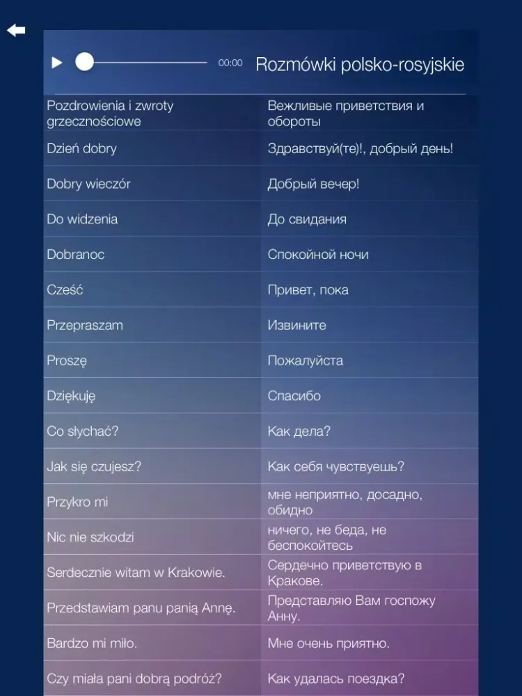 Rozmówki polsko-rosyjskie - nauka języka rosyjskiego iPad  Screenshots