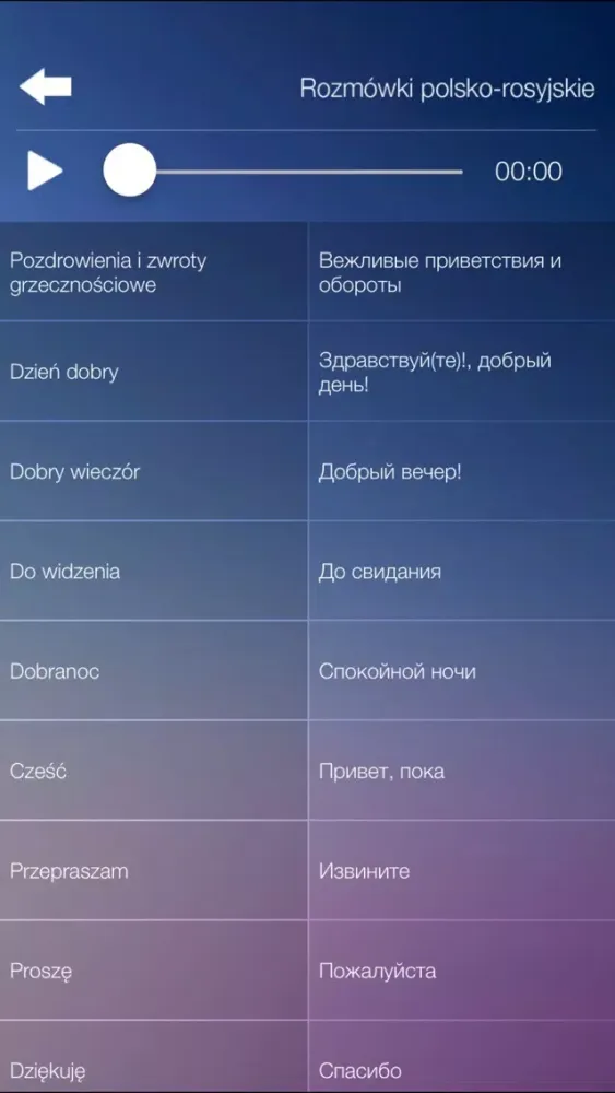 Rozmówki polsko-rosyjskie - nauka języka rosyjskiego Screenshots